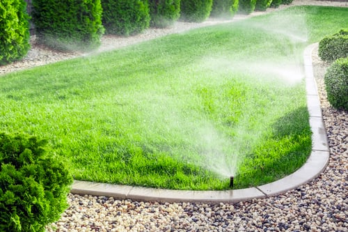 Drip Irrigation vs. Sprinklers: Watering a San Diego Landscape the Smart Way