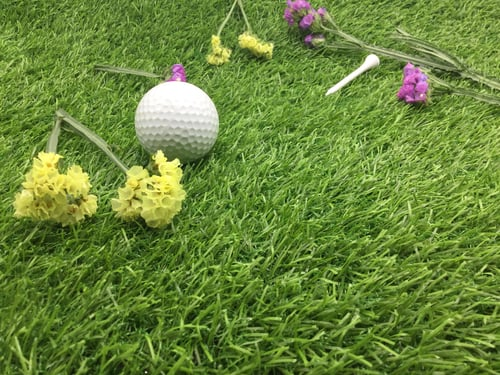Natural Sod or Artificial Turf? Choosing a Lawn for a San Diego Yard