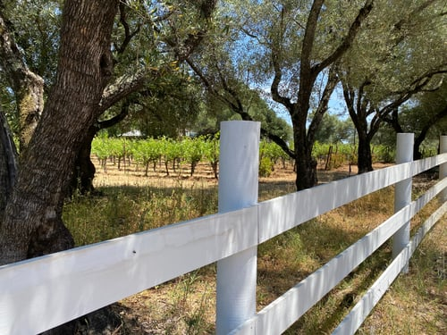 Perimeter Fencing