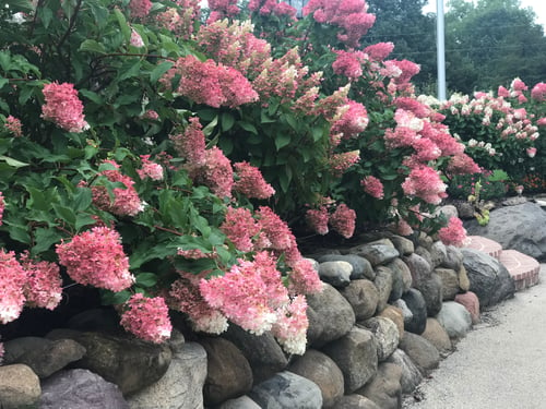 Retaining Walls